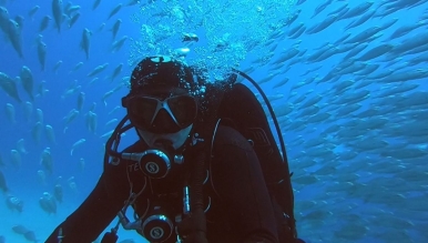 Základní kurz potápění - Open Water Diver