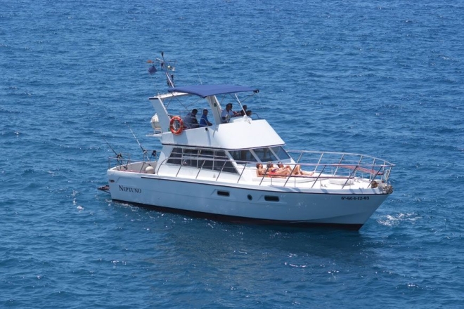 Výlet privátní lodí pro 20 osob za delfíny a kytovci (2 hodiny)